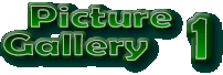 Gallery 1