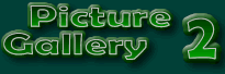 Gallery 2