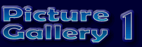 Picture Gallery 1