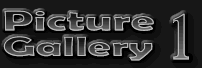 Picture Gallery 1