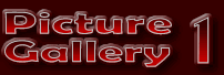 Picture Gallery 1