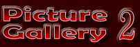 Picture Gallery 2